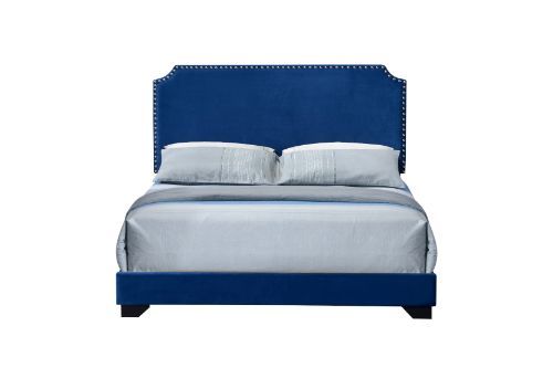Haemon - Queen Bed - Blue Velvet